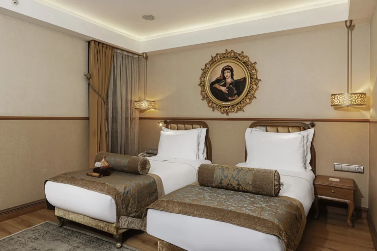 Deluxe Double/Twin Rooms